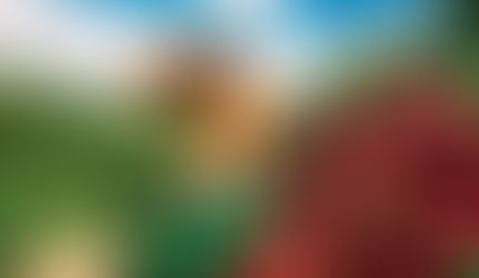 Crescem 1,3% as exportações globais de café em junho, diz OIC