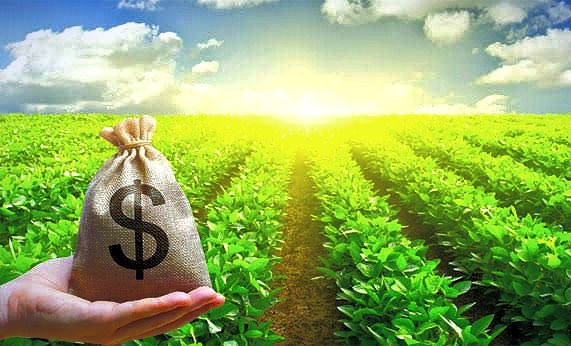 BNDES começa operar linha de crédito de R$ 1 bi para cooperativas agropecuárias