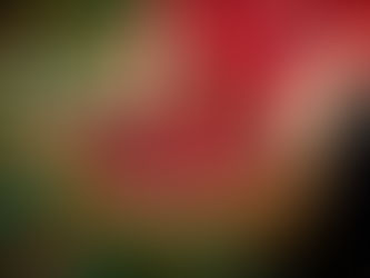 Brasil colheu 45% do café da temporada 2023/24