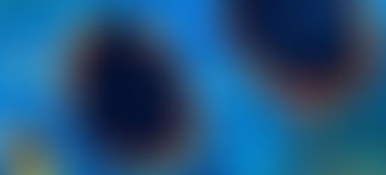 SP confirma primeiro caso de morte relacionado à subvariante BQ.1 da Covid-19