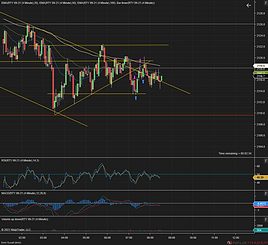 Day Trading with NinjaTrader Screen Shot