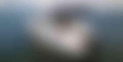 2021 Beneteau Antares 9 For Sale