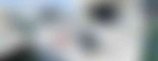 2009 Silverton Ovation 52