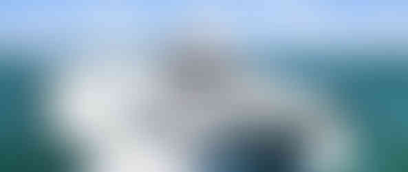 2009 Silverton Ovation 52