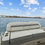 Thumbnail: 2024 Regal 33 XO With Twin Yamaha F300 For Sale Tampa Florida