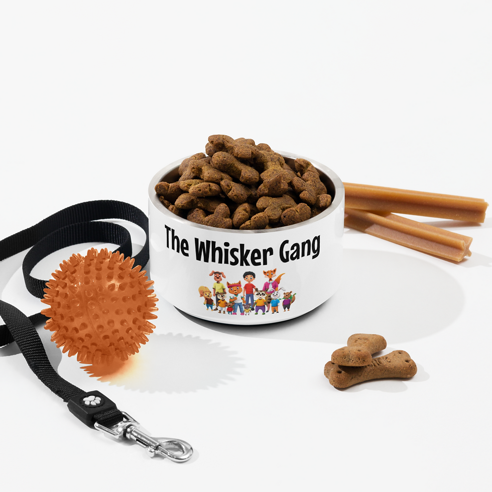 Thumbnail: Pet bowl