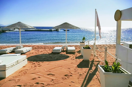 view-of-some-beds-in-a-beautiful-beach-club-in-a-s-2024-10-17-03-39-33-utc.jpg