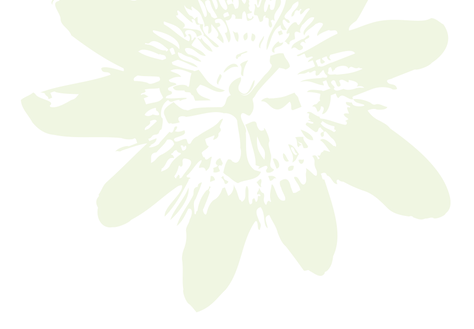 Herzensruhe_Blume_gross_4.png