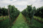 Kore_Herbsten_2020-75_web.jpg