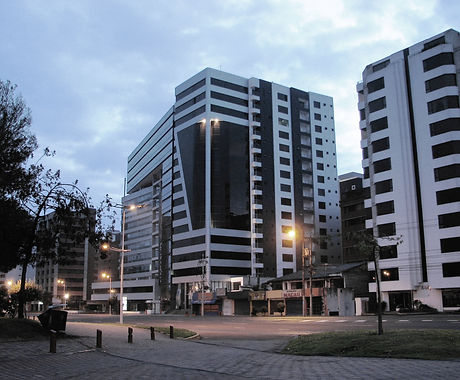 Argentum nocturnas (95).JPG