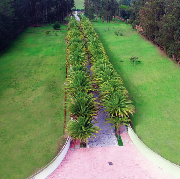 Captura de pantalla 2019-07-29 a la(s) 1