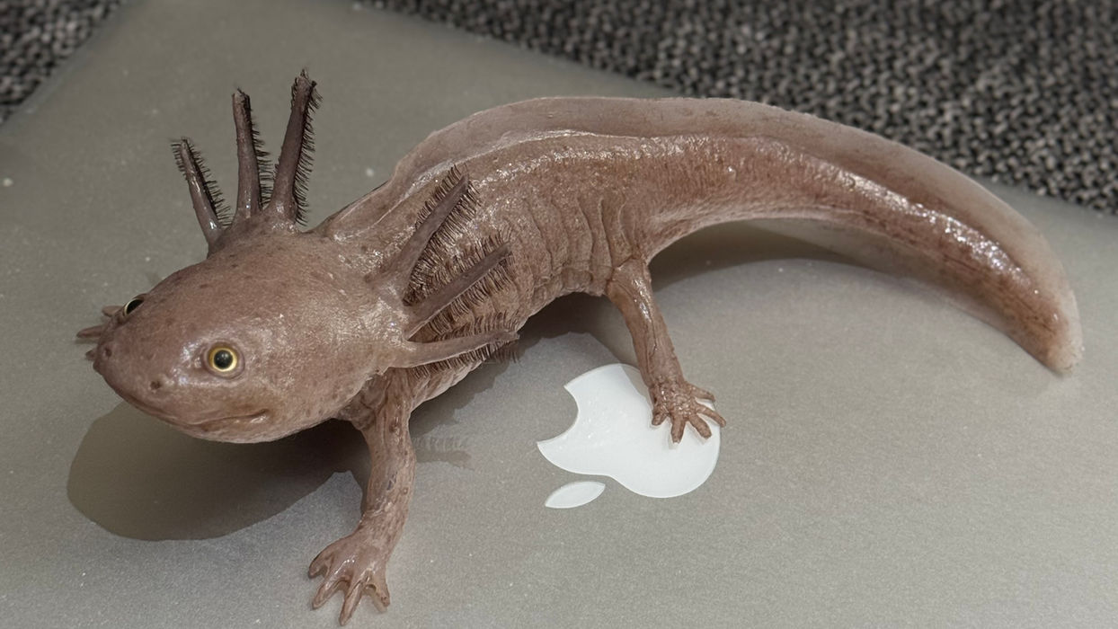 Ajolote Copper de silicona hiperrealista, pintado a mano con tonos cobrizos cálidos y naturales. Una réplica coleccionable única, ideal como regalo ajolote original o pieza decorativa. Su textura realista y acabado artesanal lo hacen destacar sobre cualquier peluche de ajolote. Perfecto para coleccionistas que buscan elegancia, rareza y envío gratis en México y Estados Unidos. busca el precio ajolote