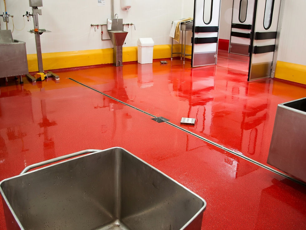 suelo matadero sala de despiece epoxi Adoria