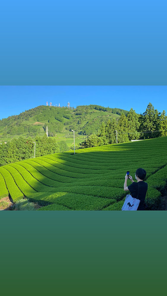 今年も一年有難うございました!の写真(静岡県掛川市)