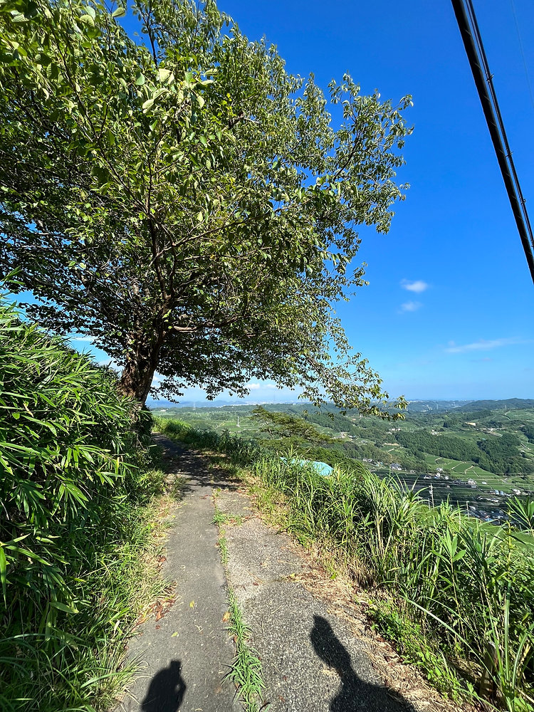 tabinoyaの写真(静岡県掛川市)