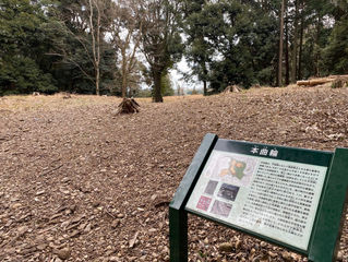 初の東海道ウォーク Vol.2 大井川を渡るの巻