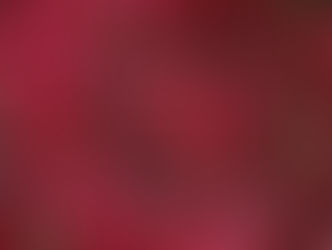 心躍る春🌸🌸🌸里には春がいっぱい!!