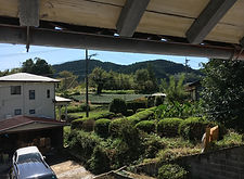 茶畑が見える景色