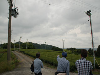 地域の未来の為に、小雨の中で茶畑会議🍵