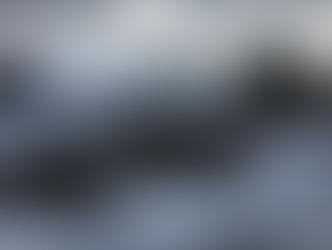 1年前、雪の中での出会いが1年ぶりに再現!