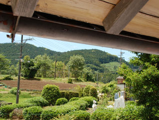 今週末のひと仕事を終えて、久しぶりの夜更かしです。