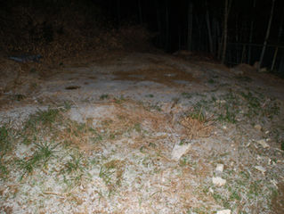 掛川で雪を見るのは小学生の頃以来かな?