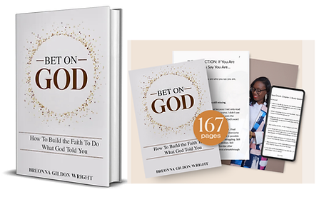 Book & E-Guide Bundle