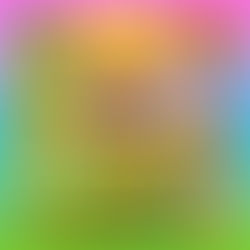 Silent Shout Q3/2025