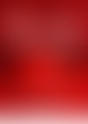 TDP Gençlik Kolları 15 Temmuz Demokrasi Zaferi ve Makedonya'ya Yansıması, Fotoğraf Sergisi ve An