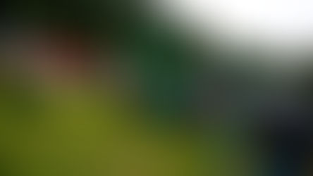 508. Ayvaz Dede Şenlikleri sona erdi