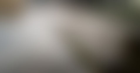 Şiddetli Rüzgar Ohri Gölünü Taşırdı