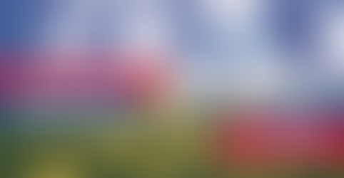 NATO Üyelik Daveti Kutlamaları Programı Belli Oldu