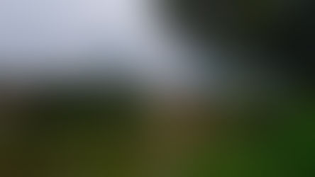 Bosna'nın incisi' Alaca Cami küllerinden doğuyor