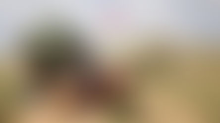 TSK: 115 terörist etkisiz hale getirildi