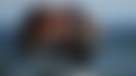 Hollanda: Yunanistan Mülteci Anlaşmasını Sabote Ediyor