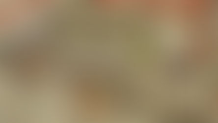 Cumhurbaşkanı Erdoğan'ın Bosna Hersek ziyareti manşetlerde