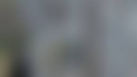 Bulgaristan'ın tel örgüleri sığınmacıları durduramadı