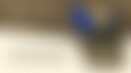 Bosna Hersek'in Bilge Kralı: Aliya İzetbegoviç