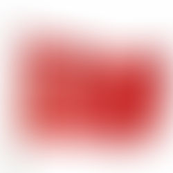 TDP Gostivar Belediye Meclis Üyelerinin Türk Bayrağının Göndere Çekilme Teklifi Kabul Edildi