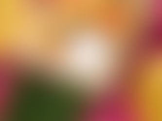 Haldi Ceremony in Indian Weddings: Where Tradition Meets Celebration