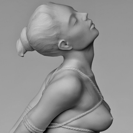 Shibari I
