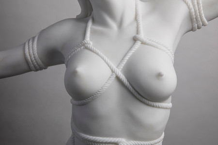 Detail of Shibari III