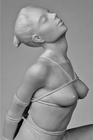 Shibari I