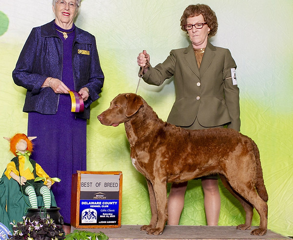 Irene BOB York 2025.JPG c.JPG