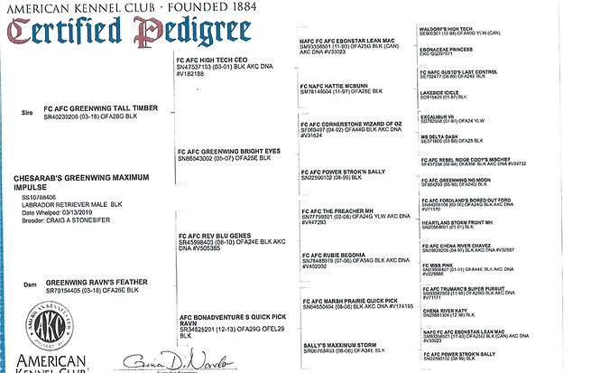 Maxx pedigree Document_2025-11-11_132732.jpg