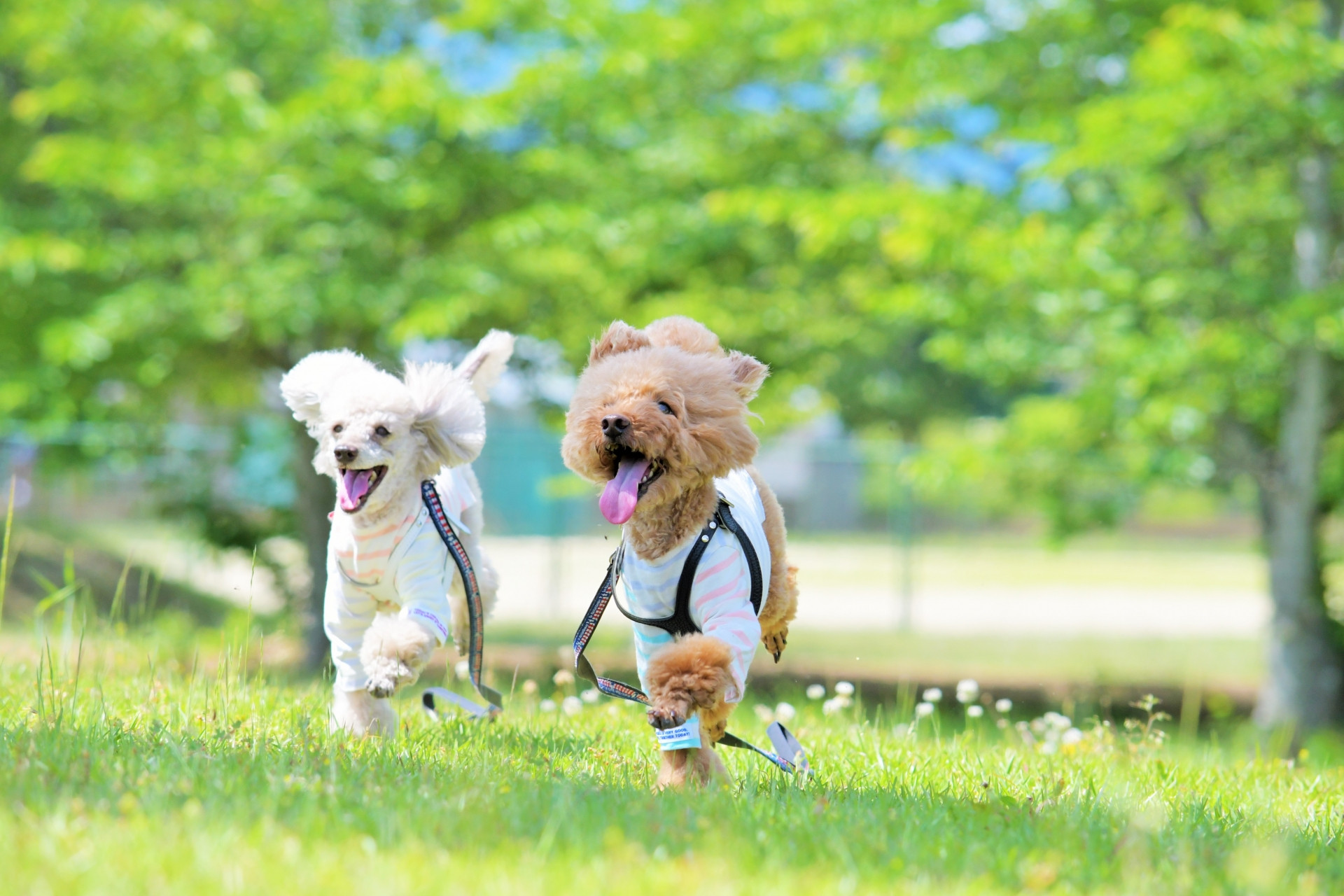 さとう動物病院の外観
