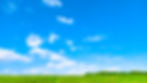 青空と新緑