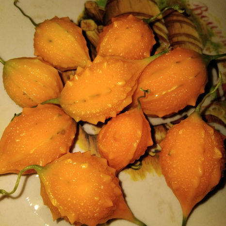 AMHE Newsletter # 364