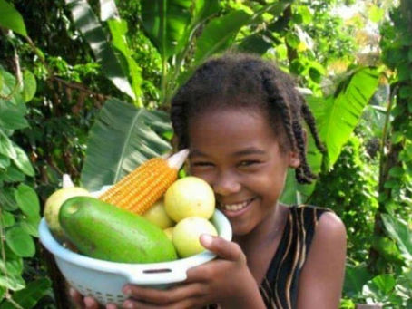 AMHE Newsletter # 365