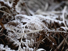 Seasonal Poetry & Prose: 'And death shall have no dominion', by Dylan Thomas